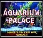 Aquarium